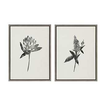 Sylvie Vintage Botanical 1 and 2 Framed Canvas by Teju Reval of SnazzyHues