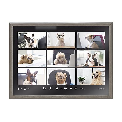 Blake Video Chat Dogs Framed Printed Glass by The Creative Bunch Studio