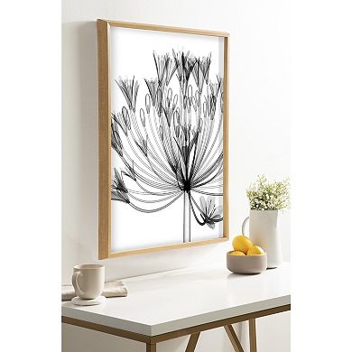Blake Bell Agapanthus X Ray Floral BW Framed Printed Art by The Creative Bunch Studio