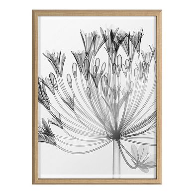 Blake Bell Agapanthus X Ray Floral BW Framed Printed Art by The Creative Bunch Studio