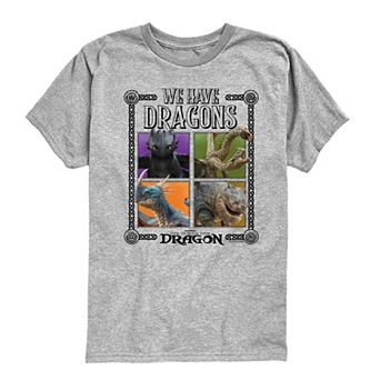 Boys 8-20 How To Train Your Dragon We Have Dragons Graphic Tee