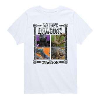 Boys 8-20 How To Train Your Dragon We Have Dragons Graphic Tee
