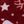 Burgundy White