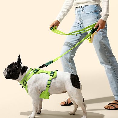 Luna Adjustable 6-in-1 Waterproof Hands-Free Leash and Collar with LED Flashlight