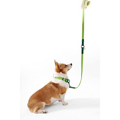 Luna Adjustable 6-in-1 Waterproof Hands-Free Leash and Collar with LED Flashlight