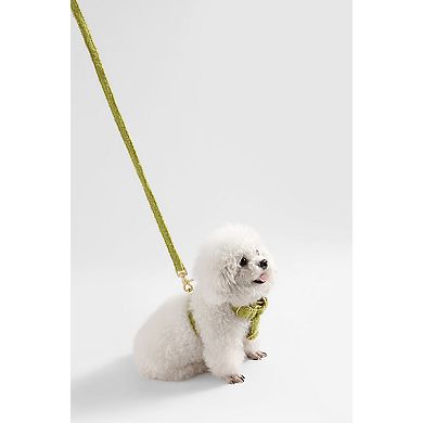 Teddy Bouclé Adjustable H Harness and Leash Walk Set with Poop Bag Pouch