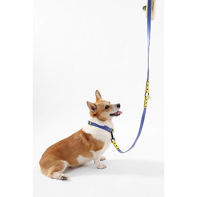 Luna Adjustable 6-in-1 Waterproof Hands-Free Leash and Collar with LED Flashlight