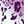 Orchid Animal Pack