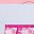 Pink Blossom Pack
