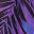 Bright Purple Leaf