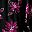 Black Graphic Flower