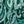 Emerald Rustic Paisley