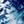 Blue Leaf Abstract
