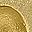 Gold Tone