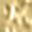 Gold Tone