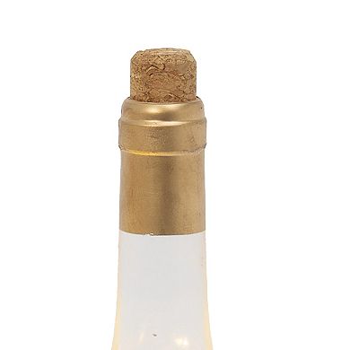 Gerson 12.5-in. Lighted Spinning Water Globe Bottle 2-pc. Set with Poppy Flower Design