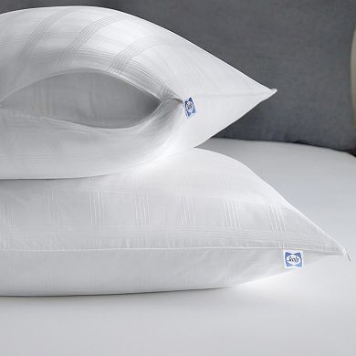 Sealy Luxury Cotton Stain Release Zippered Pillow Protector