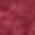 Dark Maroon White