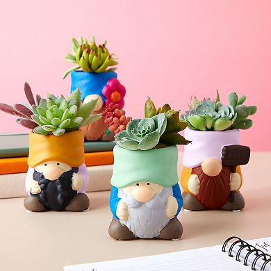 Set of 4 Paint Your Own Ceramic Gnome Planter Set, Garden Gnome Designs