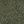 Performance Olive