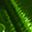 Lawn Green