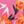 Pink Floral