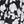 Black White Floral