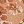 Beige Floral