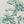Green Floral