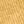 Washed Gold