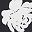 Black White Floral