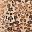 Brown Leopard