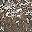 Gray Veined Travertine