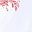 White Pink Butterfly