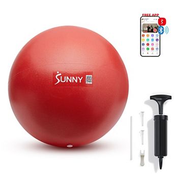 Sunny Health & Fitness Premium Pilates Ball 9”