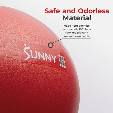 Sunny Health & Fitness Premium Pilates Ball 9”