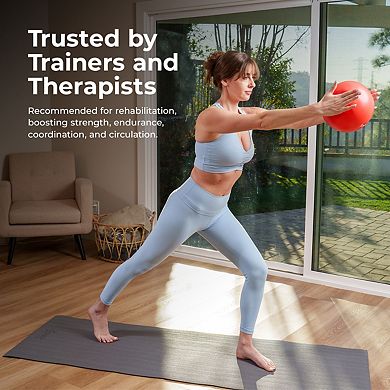 Sunny Health & Fitness Premium Pilates Ball 9”