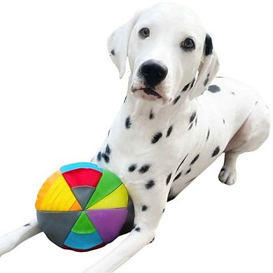 Foufit Hide 'n Seek Disc Interactive Dog Toy