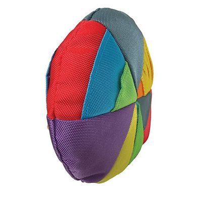 Foufit Hide 'n Seek Disc Interactive Dog Toy