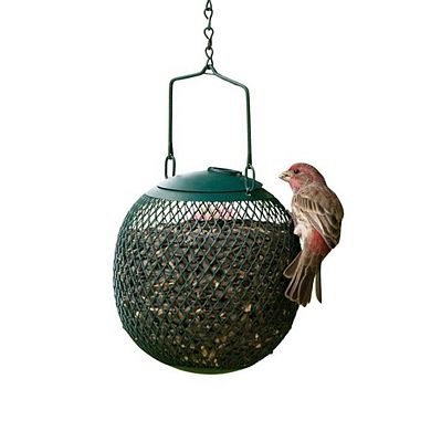 Perky-Pet Seed Ball Wild Bird Feeder