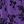 Dark Purple