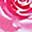 Pink 16th
