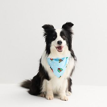 Jammies For Your Families® Peanuts Christmas Pet Bandana
