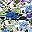 White Lilac Floral