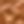 Tan Leather