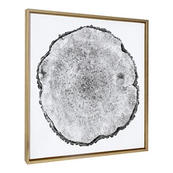 Sylvie Tree Rings Framed Canvas by Emiko and Mark Franzen of F2Images