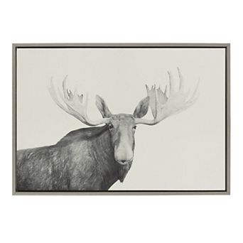Sylvie Moose 2 crop BW Framed Canvas by Emiko and Mark Franzen of F2Images