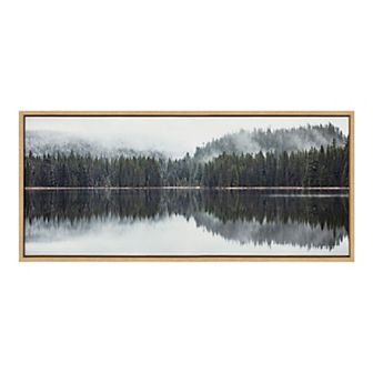 Sylvie Still Reflection Framed Canvas by Emiko and Mark Franzen of F2Images