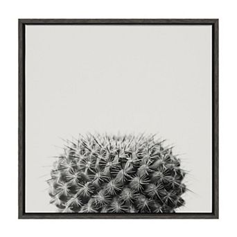 Sylvie Haze Succulent Cactus Short Framed Canvas by The Creative Bunch Studio