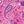 Peony Petal Paisley